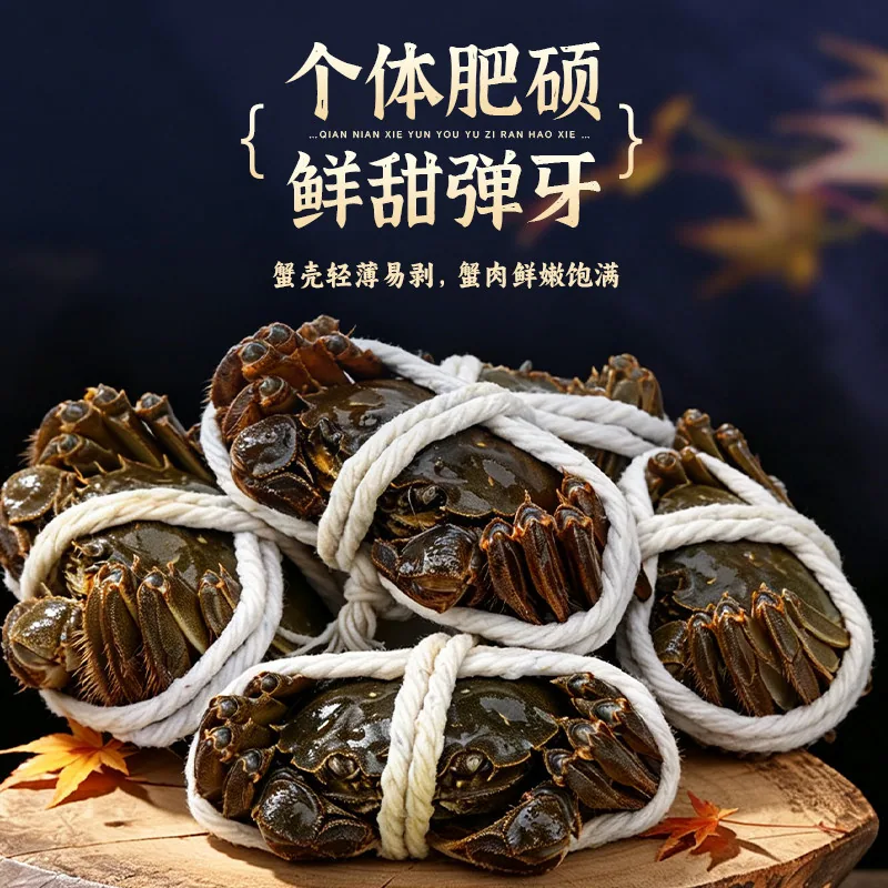宁式生鲜固城湖全母蟹6只装（细节图 2）