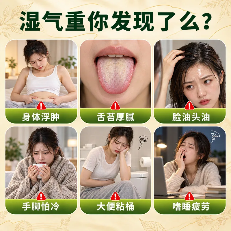 猫超甄选西洋参石斛菊花茶10包茶包（细节图 1）