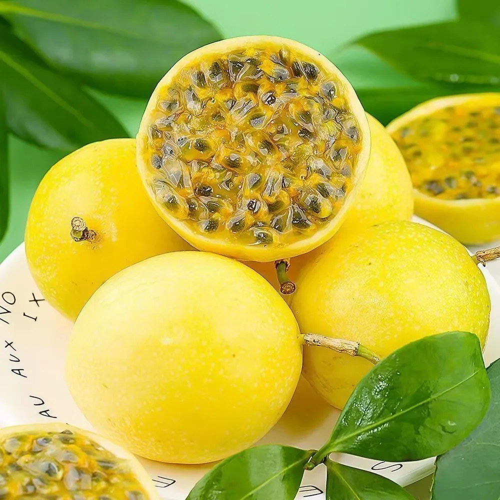 广西钦蜜9号百香果