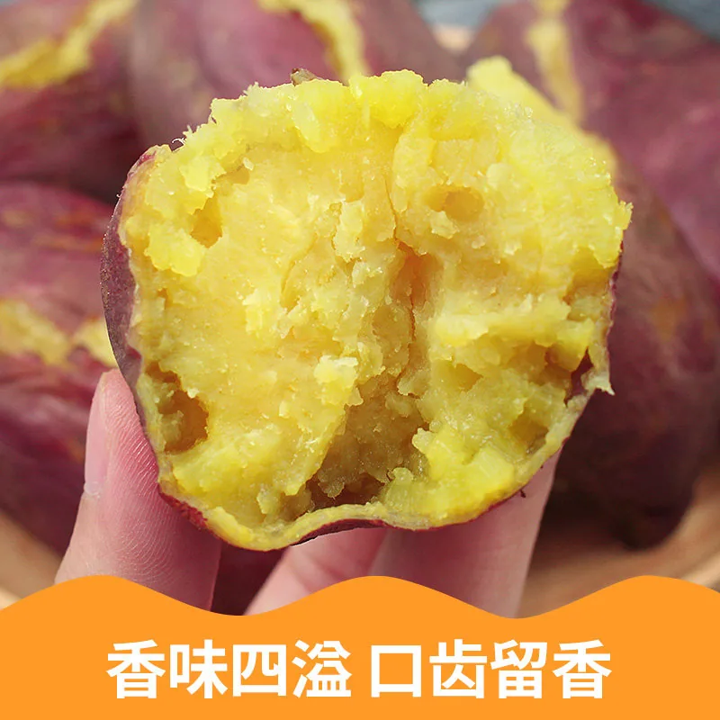 农家板栗黄薯8.5斤
