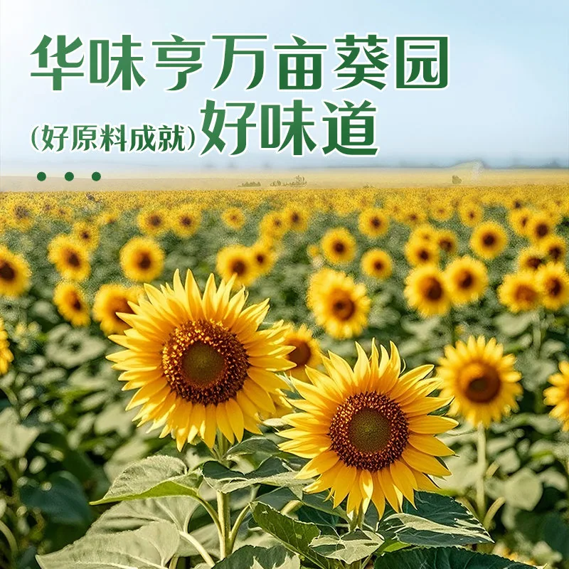 华味亨多味香打手瓜子380g单包装（细节图 2）