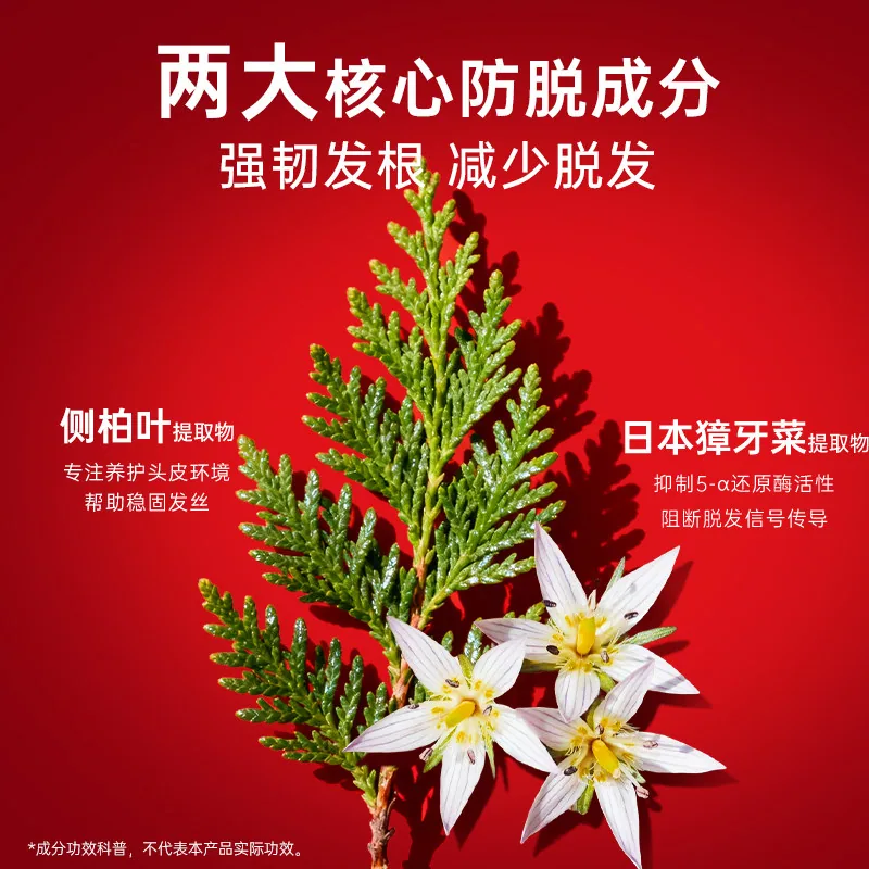 卡蓓诺防脱修护洗发水洗护合集