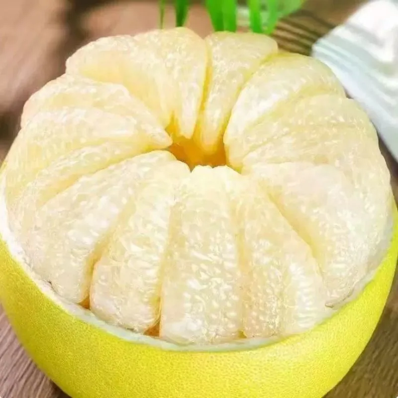 福建平和琯溪蜜柚白心柚（细节图 1）