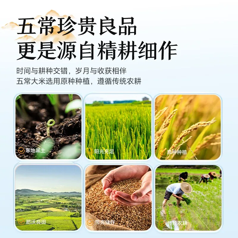 谷米集五常大米真空10斤（细节图 2）