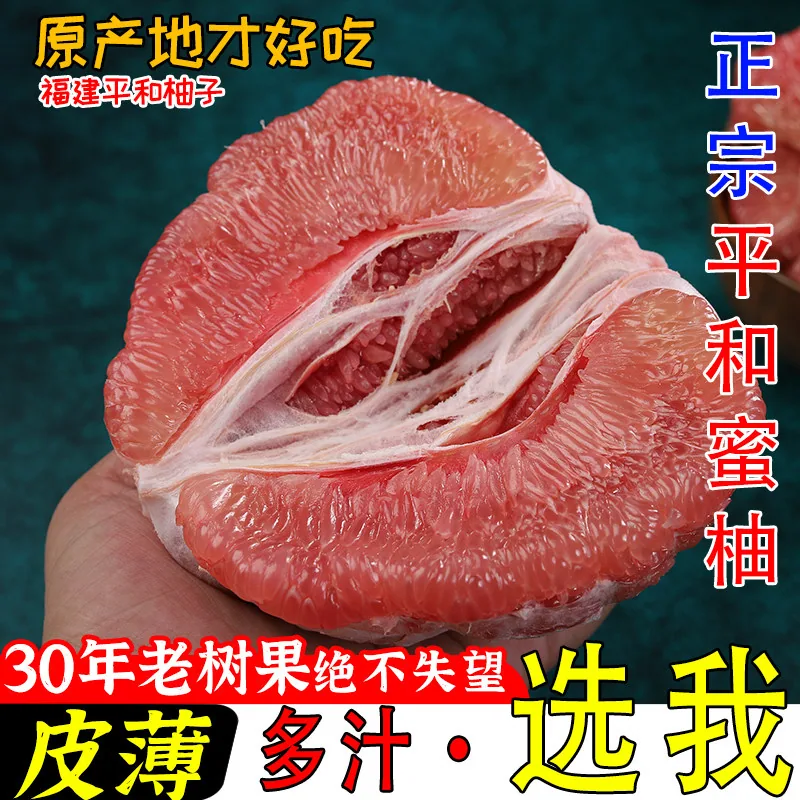 平和琯溪蜜柚（细节图 1）