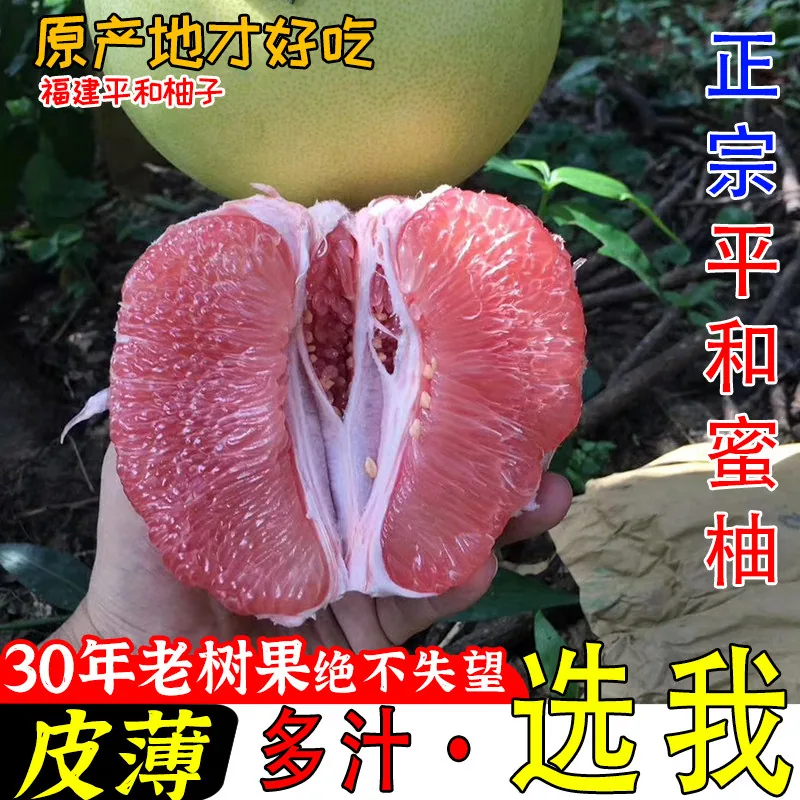 平和琯溪蜜柚（细节图 2）