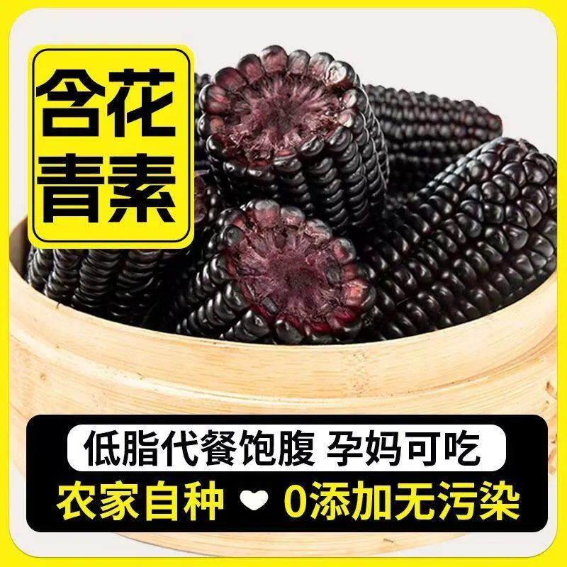 山西黑玉米真空即食脆甜紫玉米整箱（细节图 1）