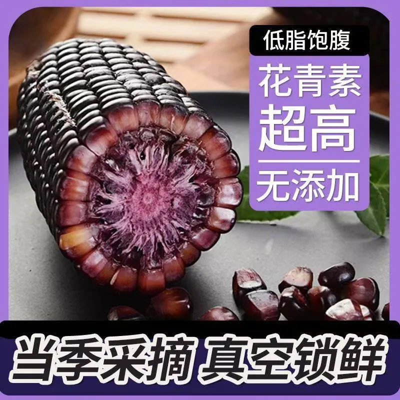 山西黑玉米真空即食脆甜紫玉米整箱（细节图 2）