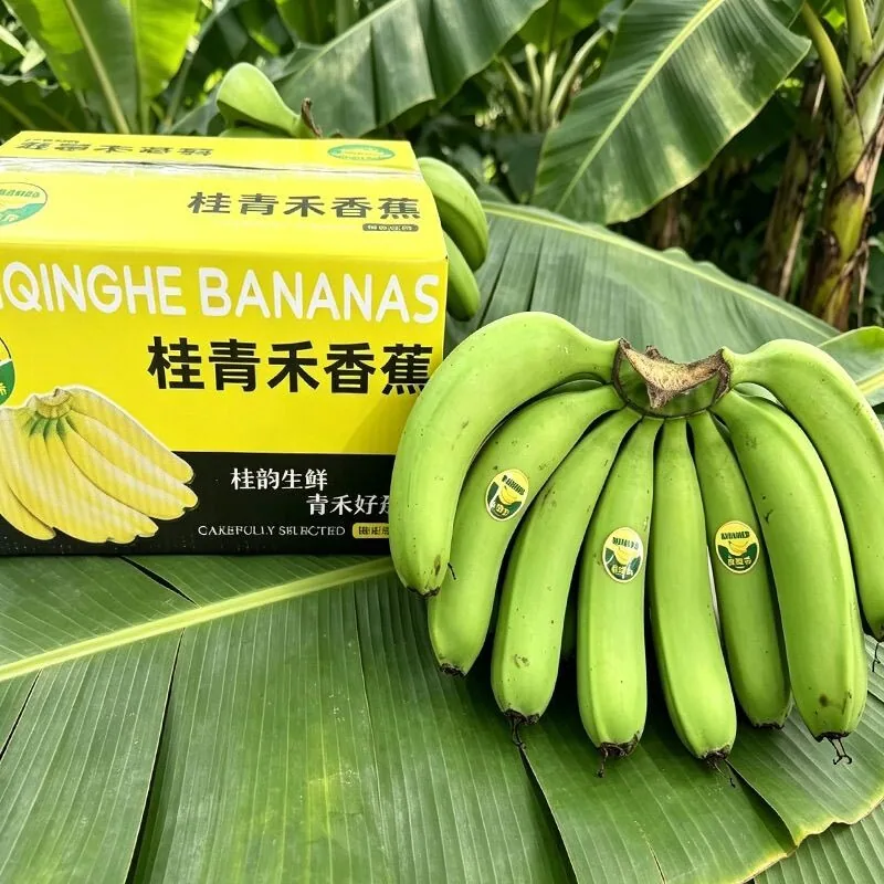 广西高山青皮香蕉5斤整箱（细节图 1）
