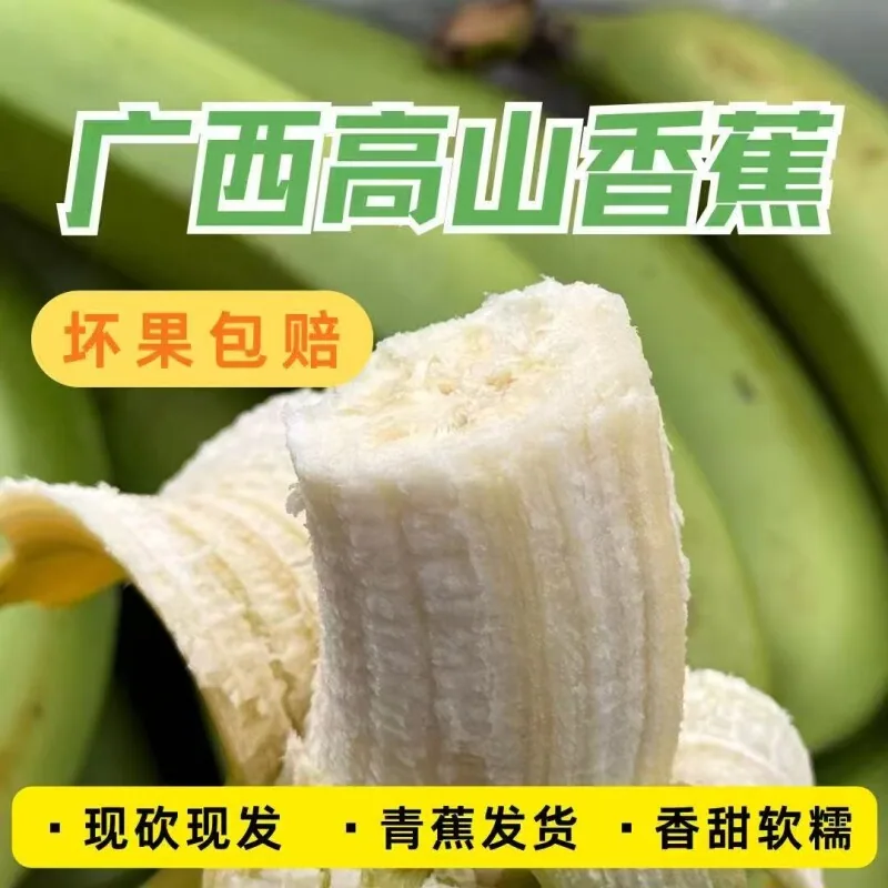 广西高山青皮香蕉5斤整箱（细节图 2）