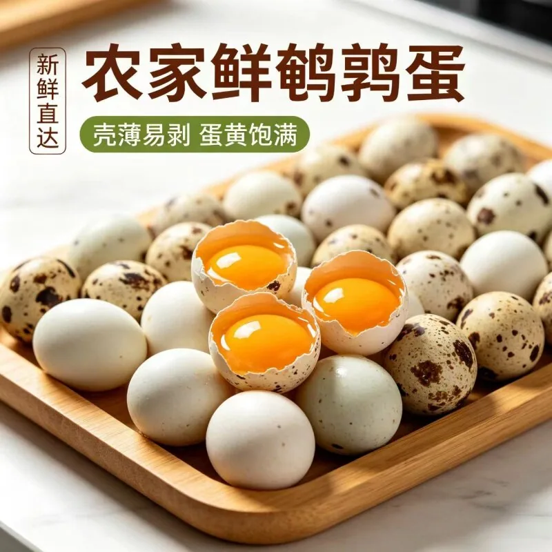 农家生鹌鹑蛋50枚一盒（细节图 2）