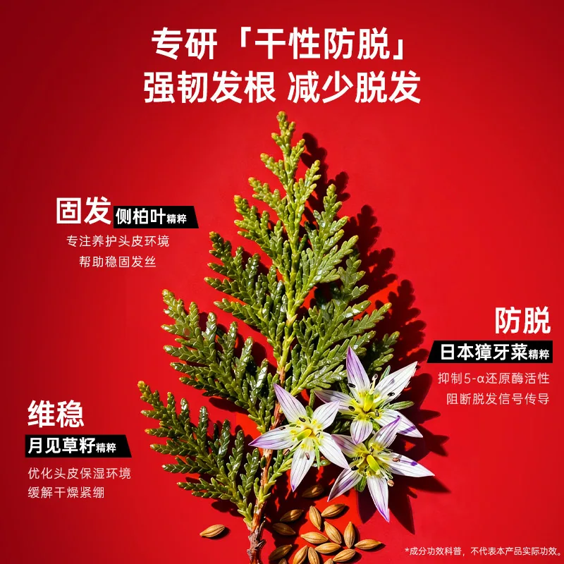 卡蓓诺洗护合集（细节图 1）