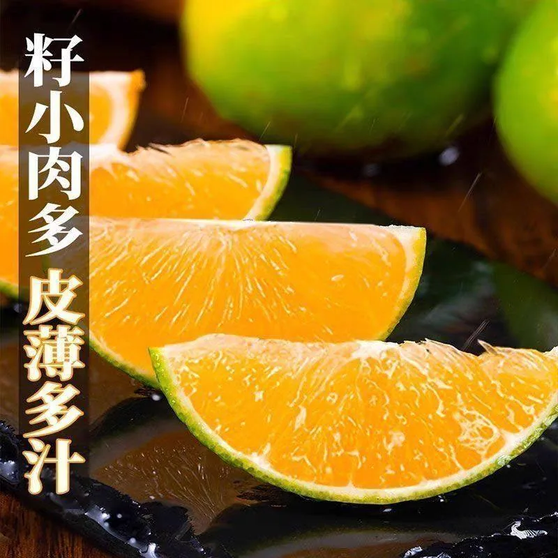 云南哀牢山冰糖橙整箱4.5斤