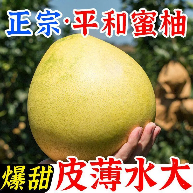 福建平和红心蜜柚整箱（细节图 1）