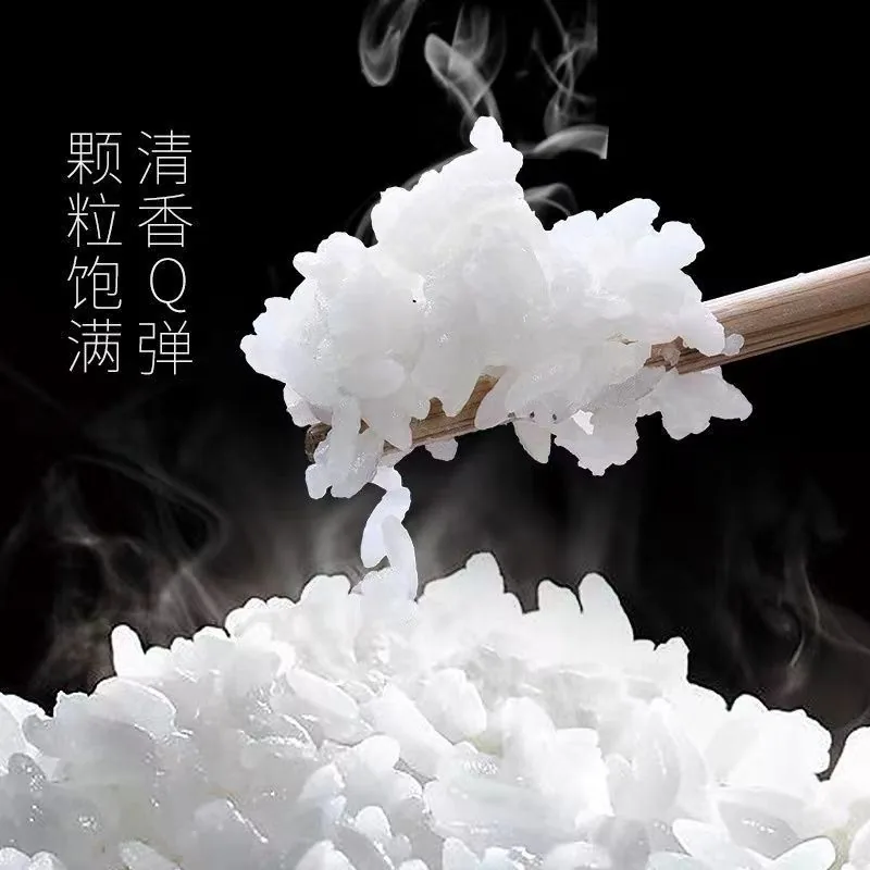 禾盈喜稻香米米粒特写