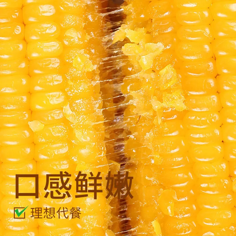啃糯东北糯玉米8只1900g真空装
