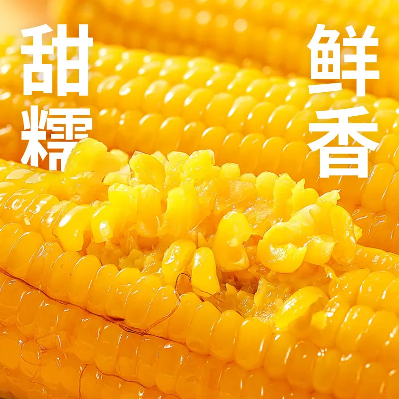 啃糯东北糯玉米8只1900g真空装（细节图 1）