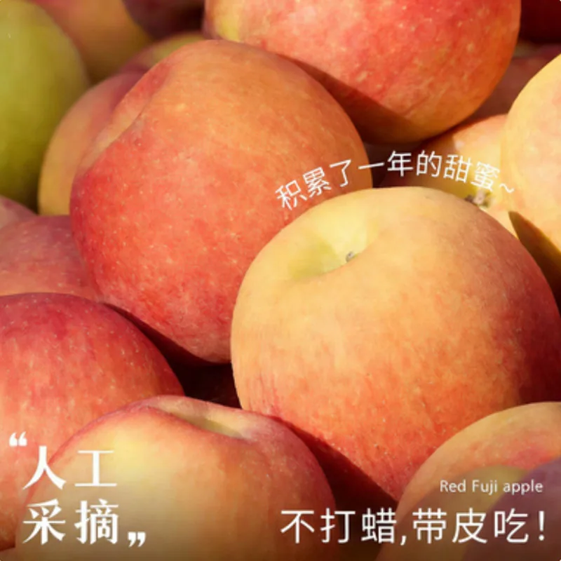 山西冰糖心红富士苹果整箱