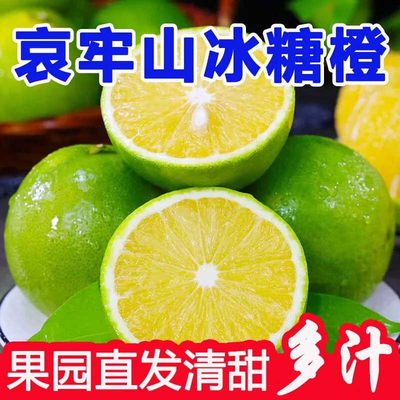 云南哀牢山冰糖橙5斤装