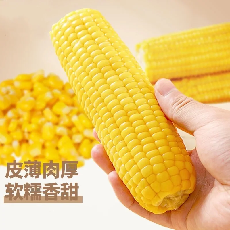 农投东北黄糯玉米八棒装