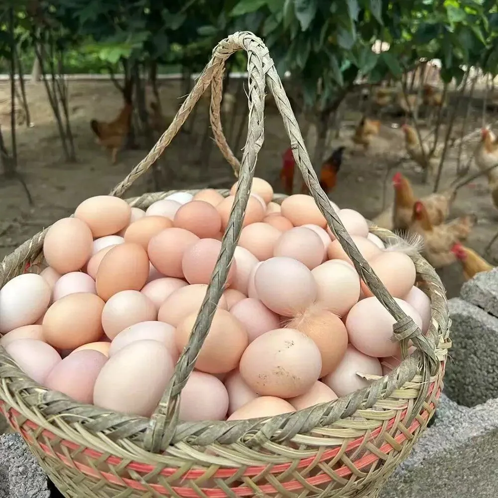 好念头可生食土鸡蛋一箱（细节图 2）