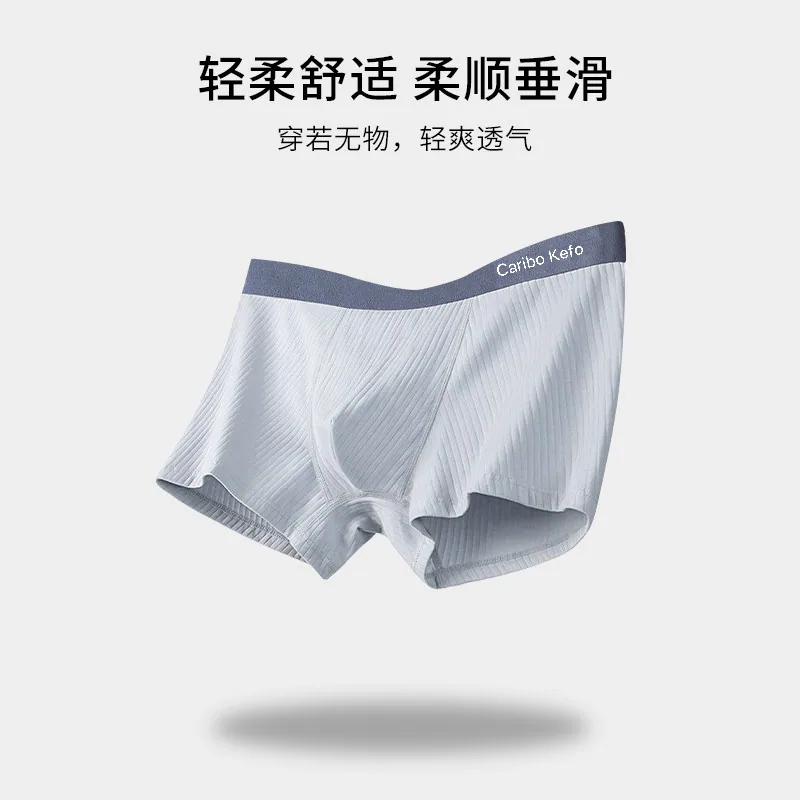 CK莫代尔平角内裤三条装