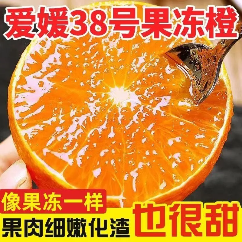 国货严选爱媛38号果冻橙整箱