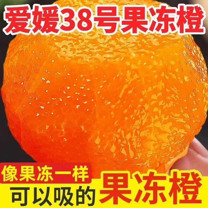 国货严选爱媛38号果冻橙整箱（细节图 1）