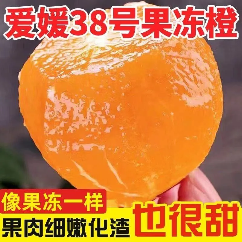 国货严选爱媛38号果冻橙整箱（细节图 2）