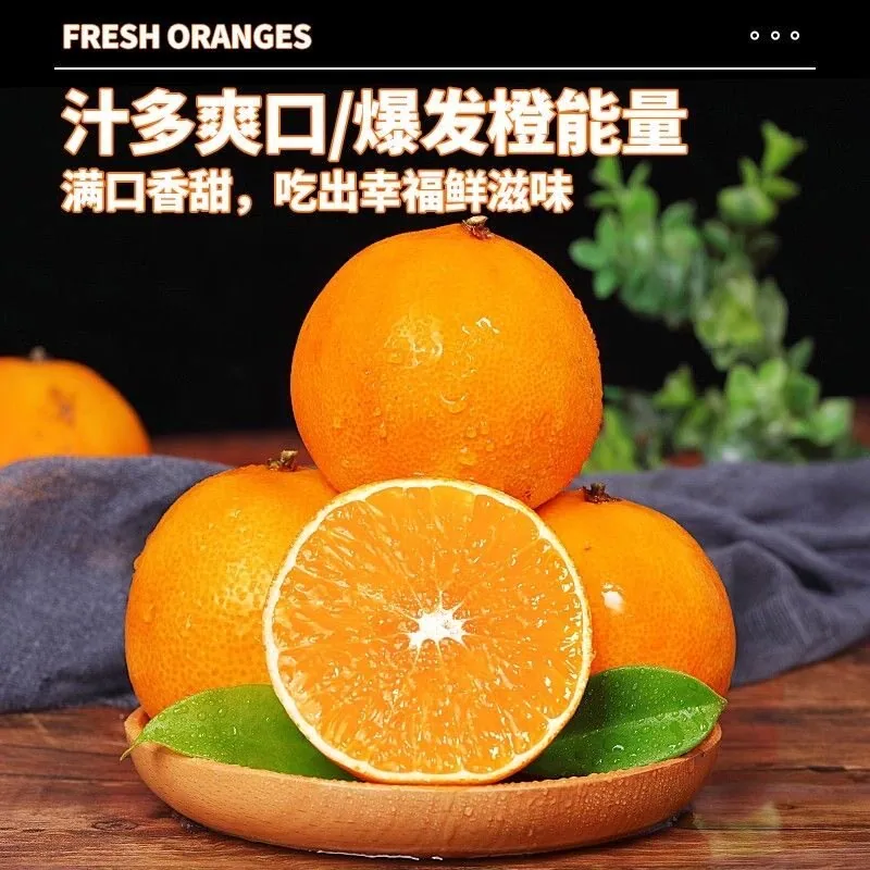 四川爱媛38号果冻橙（细节图 2）