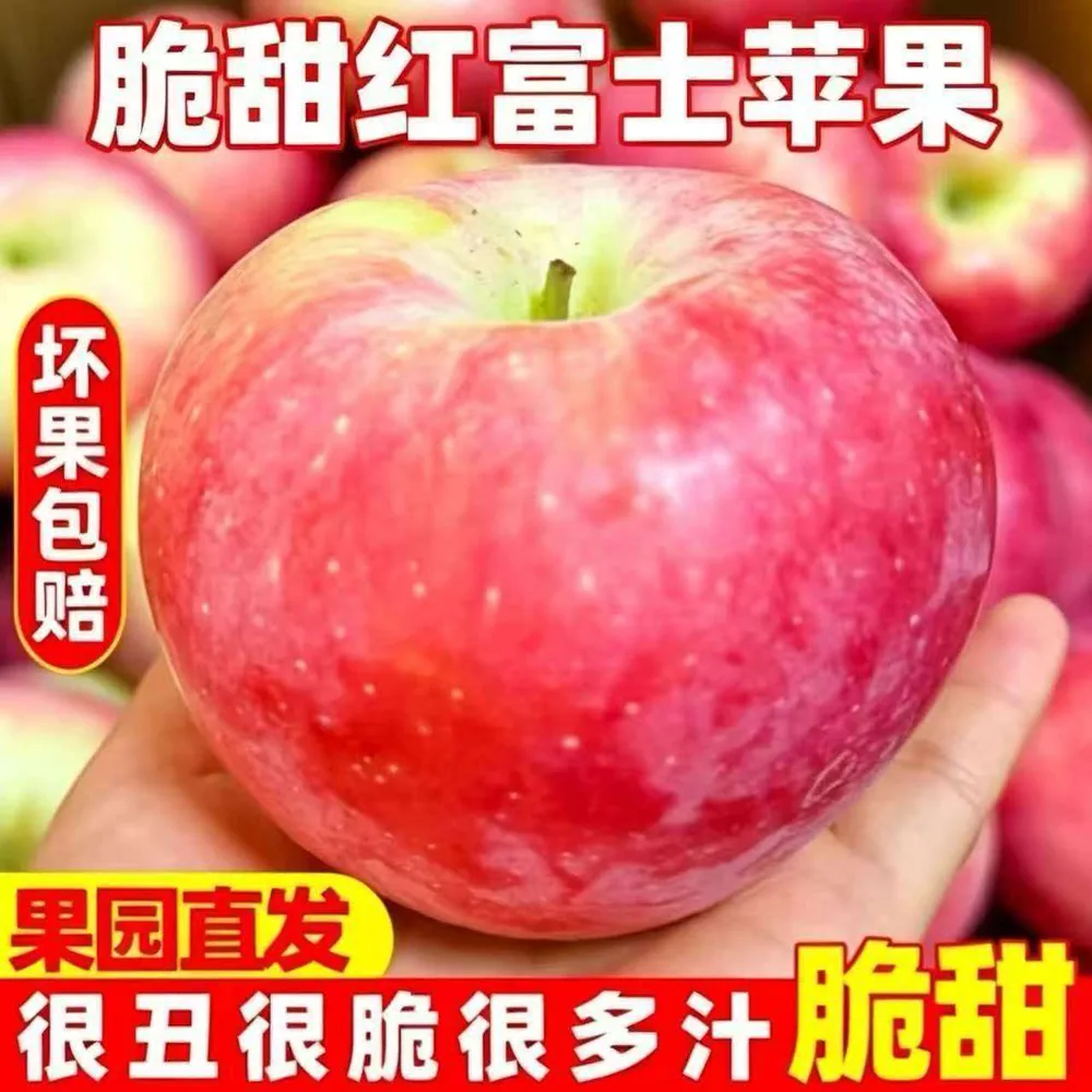 头茬红富士苹果（细节图 2）