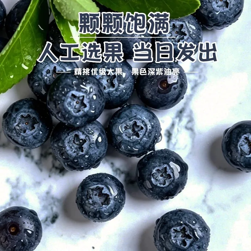 云南高山蓝莓L25四盒装