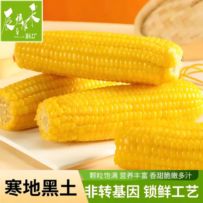 辰旭稼禾东北黄糯玉米260g8棒（细节图 1）