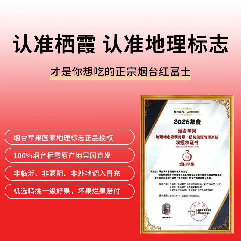烟台红富士苹果整箱（细节图 2）