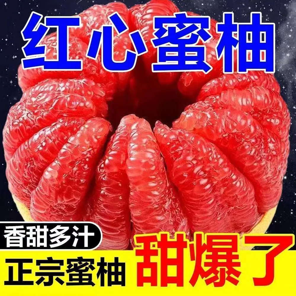 平和琯溪红心蜜柚4.5斤装