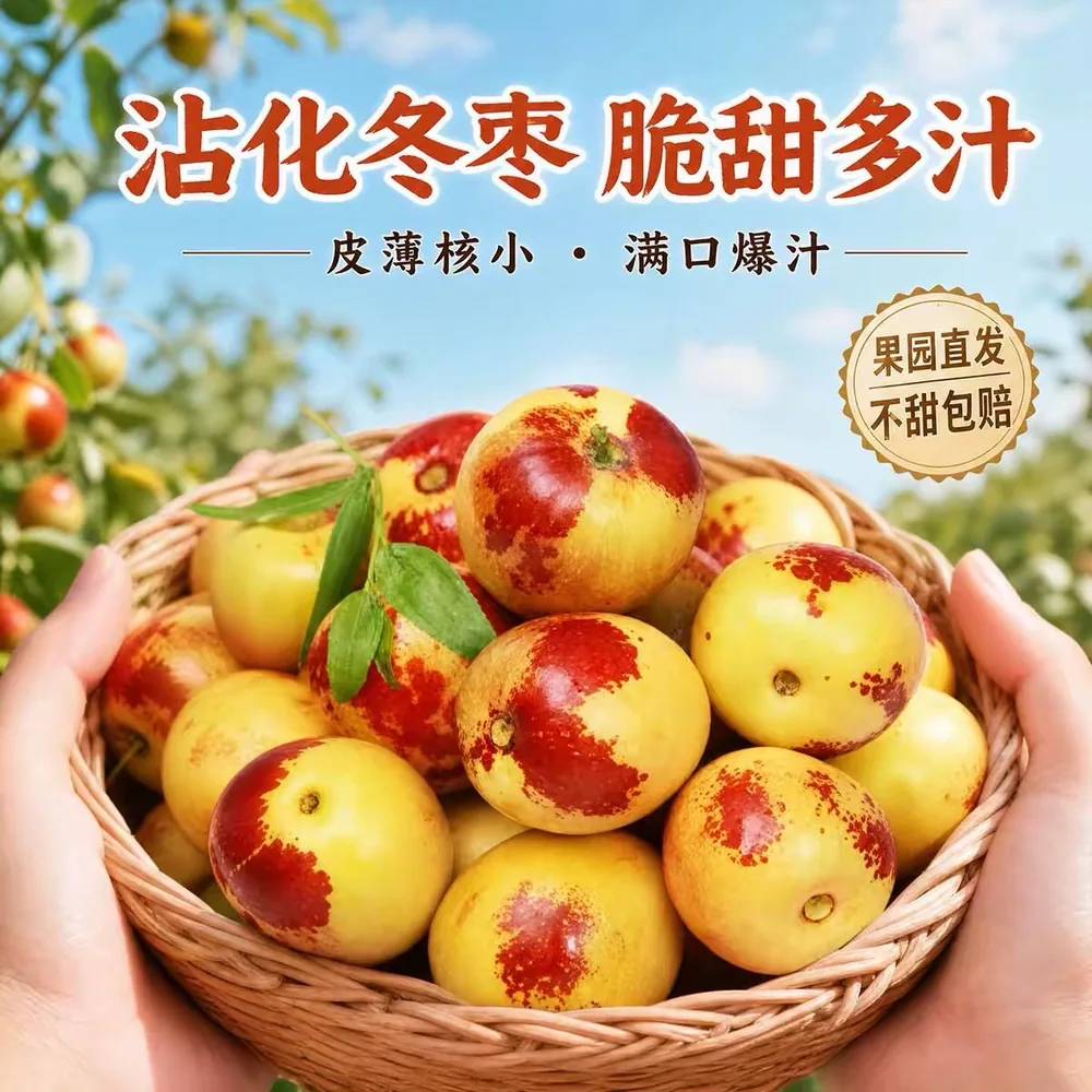 山东沾化冬枣4.5斤净重一箱