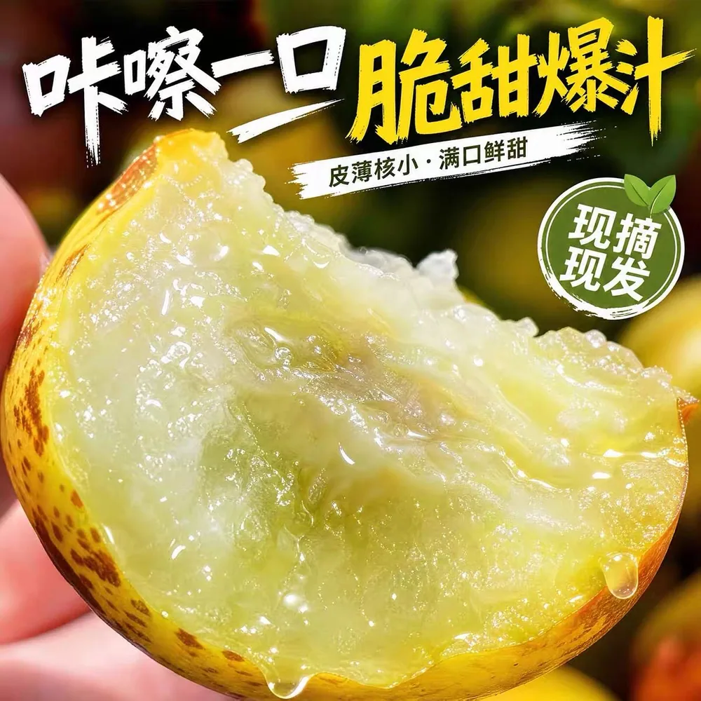 山东沾化冬枣4.5斤净重一箱（细节图 2）