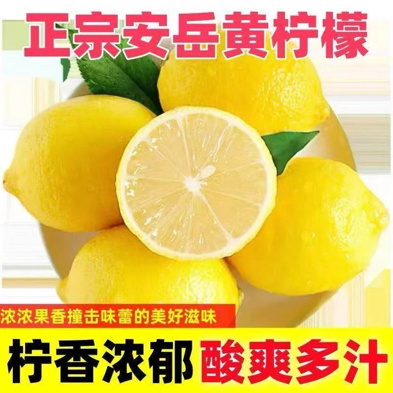 安岳黄柠檬一级大果5斤装