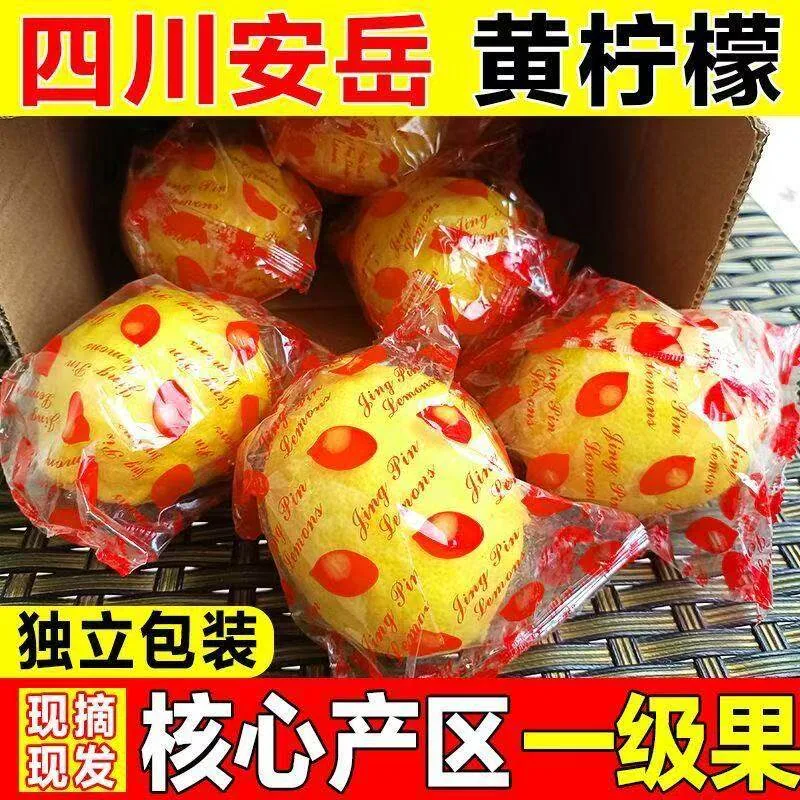 安岳黄柠檬一级大果5斤装（细节图 1）