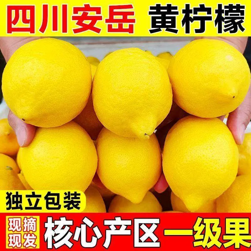 安岳黄柠檬一级大果5斤装（细节图 2）