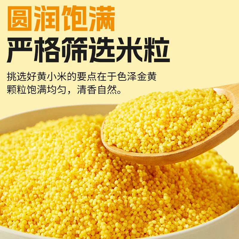 赤峰敖汉黄小米5斤（细节图 2）