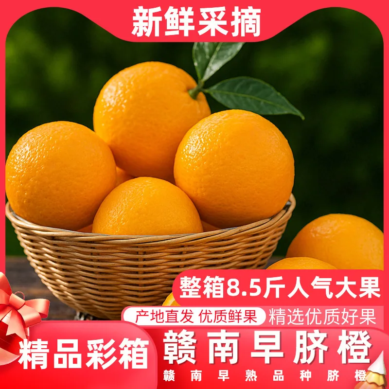 淘宝农场一品优赣南早脐橙5斤（细节图 1）