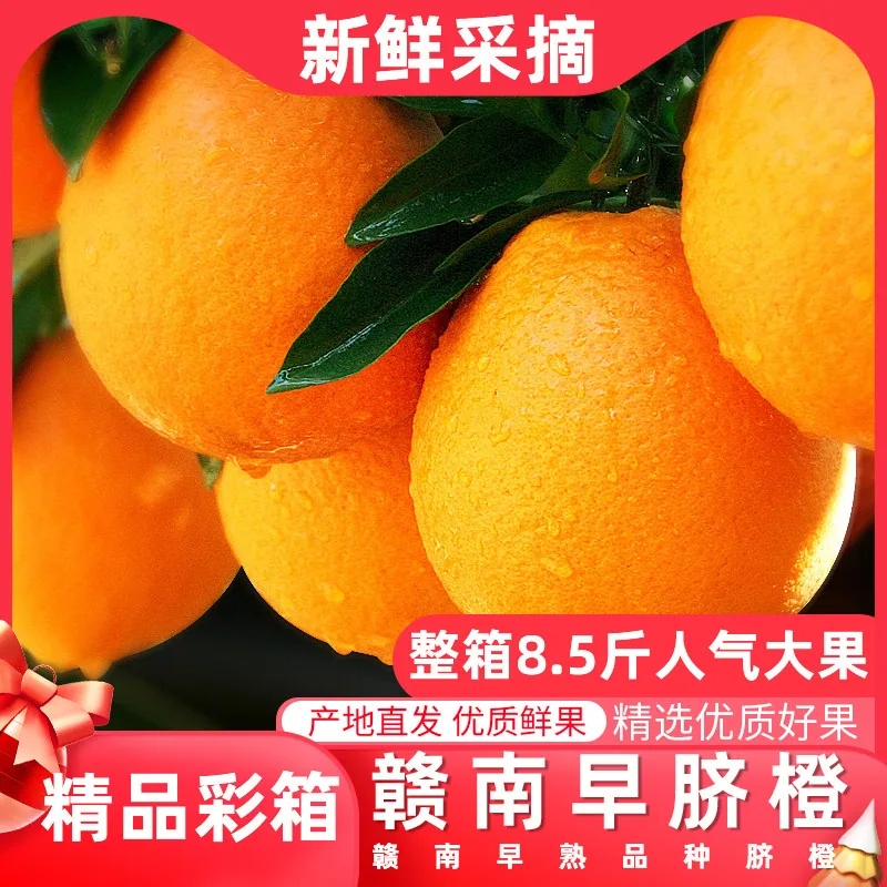 淘宝农场一品优赣南早脐橙5斤（细节图 2）