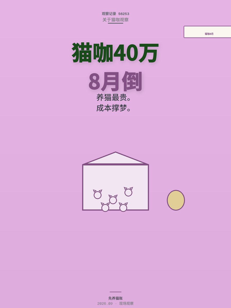 贷款40万开猫咖8个月倒闭，这笔账到底错在哪