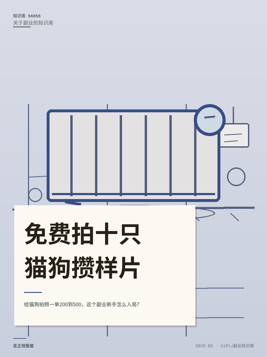 给猫狗拍照一单200到500，这个副业新手怎么入局？